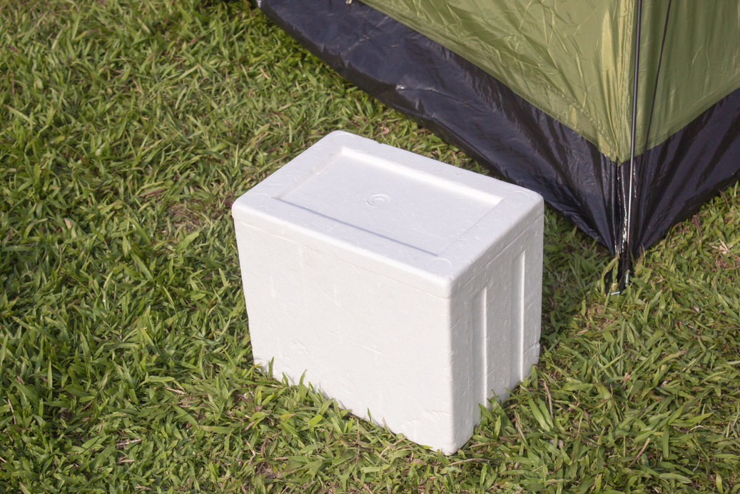 styrofoam box isolated on grass